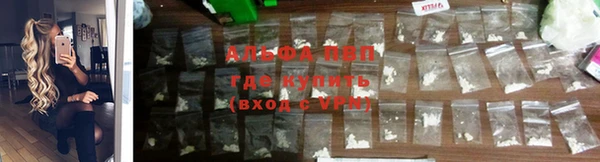 прущие крисы Вязники