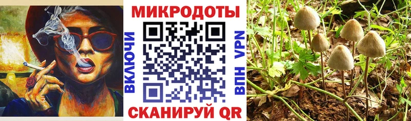 это наркотические препараты  Мончегорск  Псилоцибиновые грибы Psilocybe 