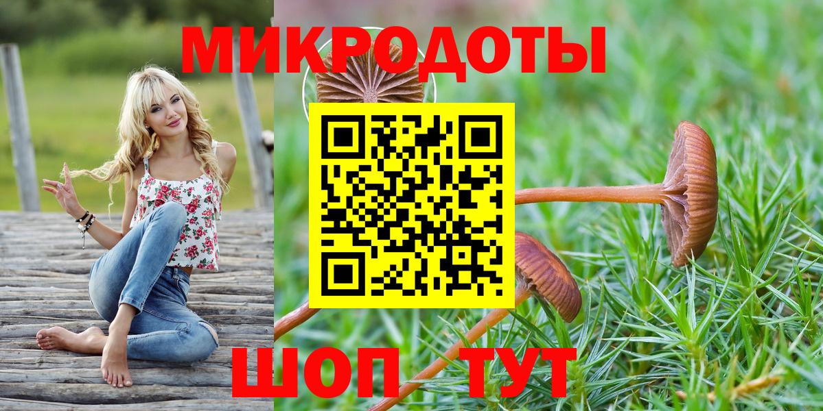Псилоцибиновые грибы мухоморы Мончегорск